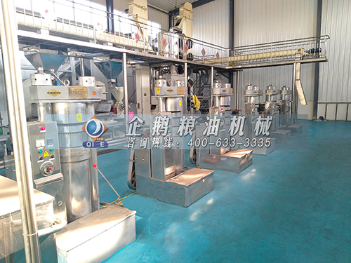 榨油機(jī)全套設(shè)備 榨油機(jī)全套設(shè)備